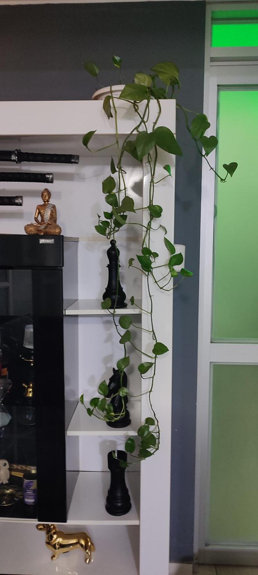 Sumaq Airport Apartment Лима Екстериор снимка
